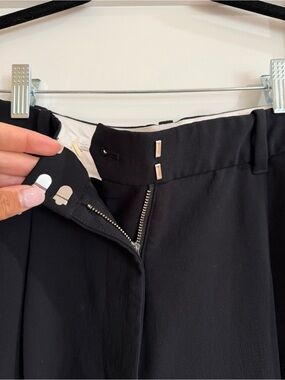 Aritzia trousers